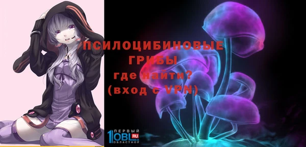 молекула духа Липки