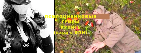 молекула духа Липки