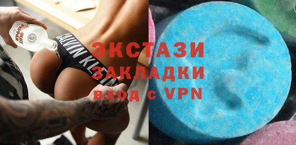 индика Краснослободск