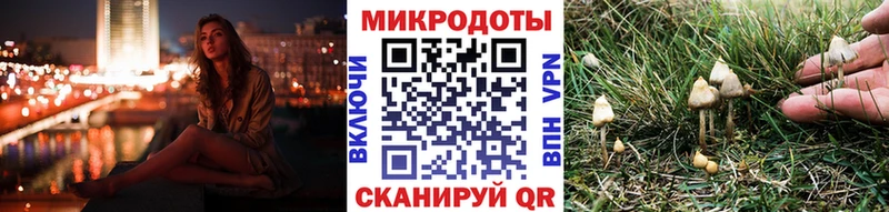 Галлюциногенные грибы MAGIC MUSHROOMS  магазин    Удачный 